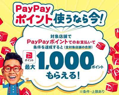 PayPay-2023年9月キャンペーン-1,000ポイントもらえる