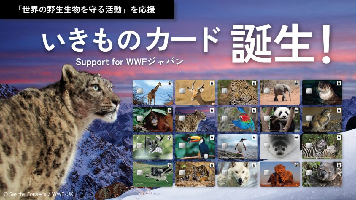 いきものカード Support for WWFジャパン