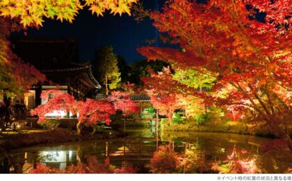 アメックス、高台寺の紅葉を貸切鑑賞、プラチナ限定と全員向け2プラン