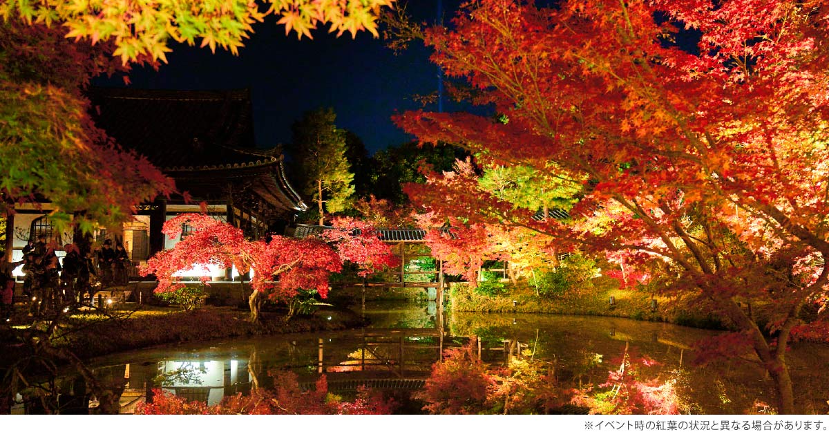 紅葉の高台寺2026 特別鑑賞 Only for Amex